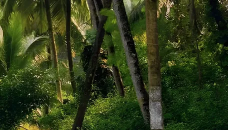 Maharashtra cabinet approves scheme to build motorable farm-to-field roads