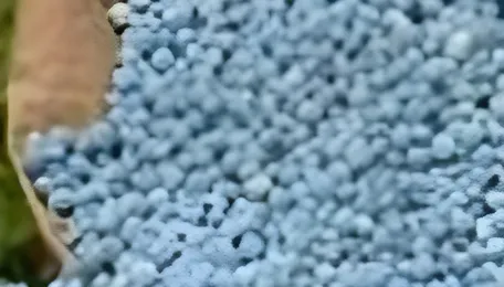 Fertiliser ministry seeks doubling of subsidy allocation amid price surge 