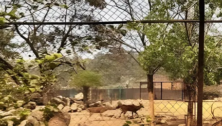 Pune Zoo Expansion Brings Conservation Under Review