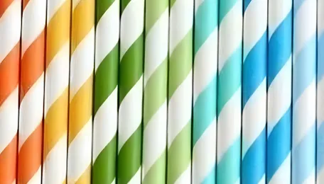 Paddy Straw: Renewable Energy and Biogas Potential 