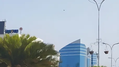 Jaipur Road Project Raises Concerns Over Urban Greens