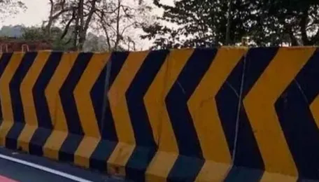 India is inaugurating its first “red road” to save wildlife, and the trick is not fences or speed cameras, but a surface that forces drivers to slow down almost without realizing it. 