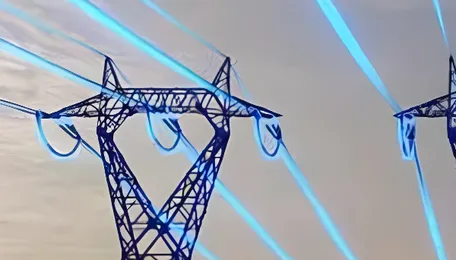 Union Min Manohar Lal chairs parliamentary consultative committee meeting on future-ready power grid 