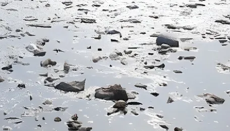 Delhi Yamuna Pollution Linked To Drain Discharges