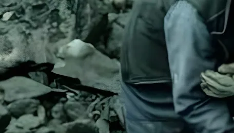 Coal power returns to centre stage as states snub cheaper green energy: Report 