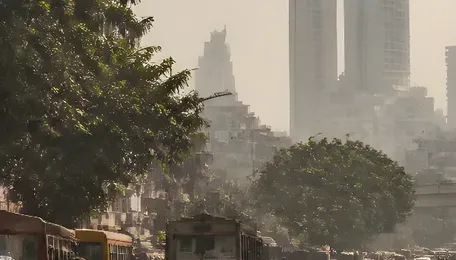 Mumbai Weather Update: Heat and Haze Persist as AQI Hits 116