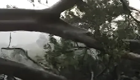 Storm Damages Power Network in North Andhra 