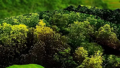 Surat Natural Farming Entrepreneur Inspires Rural Livelihood Shift