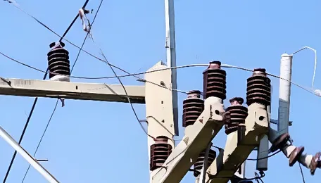 Tamil Nadu to spend up to Rs 7 crore extra daily to avoid power cuts: Minister 