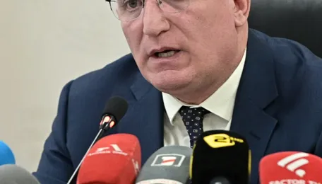 Armenia could consider alternative suppliers if Russian gas prices rise 