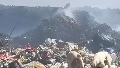 Bengaluru Garbage Hotspots Renew Focus On Urban Services