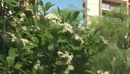 Chennai Senior Living Project Reflects Housing Shift