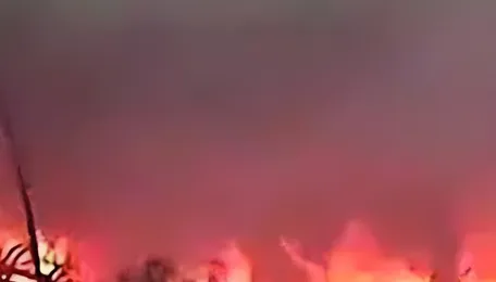 2 villages plunge into darkness after fire destroys solar power plant in West Champaran 