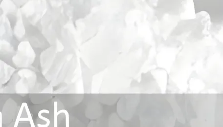 Solvay to Cut Soda Ash Capacity Amid Prolonged Pricing Pressure