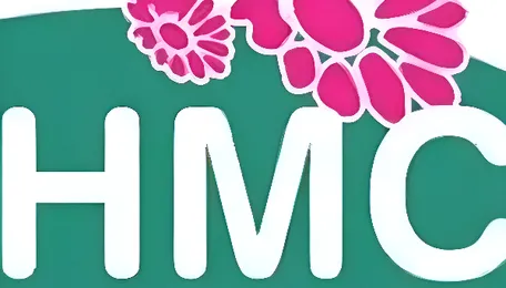 GHMC Restructuring Push Targets Faster Urban Administration