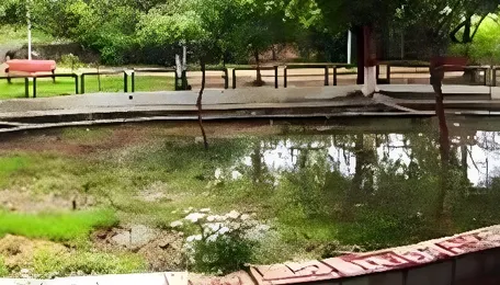 Delhi Advances Treated Water Reuse In Parks