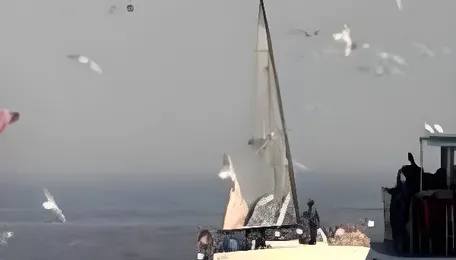 Mumbai Launches Nerul Ferry From December 15 Cutting Travel Time Thirty Minutes