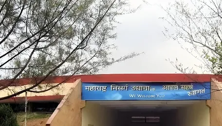 Mumbai Citizens Fear Loss Of Mahim Nature Park To Redevelopment Plans