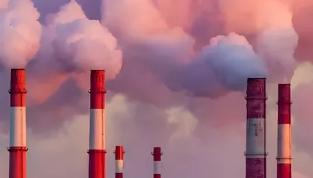 Stubble pellet use in thermal plants jumps 2,000-fold in three years: minister tells Rajya Sabha 