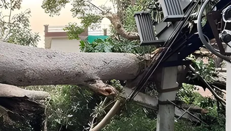 Storm wreaks havoc on PSPCL network in Doaba, losses pegged at Rs 92 lakh 
