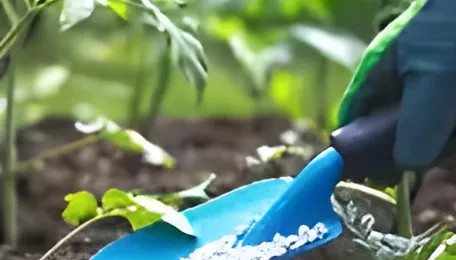 Iran conflict sparks global rush for critical fertilizers