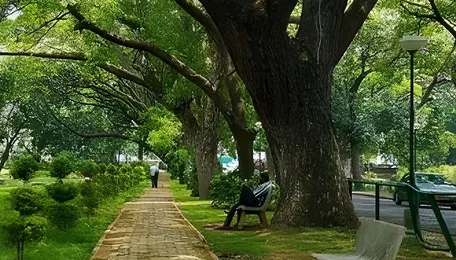 Bengaluru Creative Community Highlights Ecological Conservation Through Visuals
