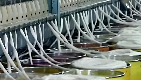 India Eases Import Restrictions, Industry Cheers but Vigilance Urged 