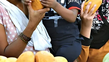 Bengaluru Mango Festival Highlights Urban Food Economy Diversity