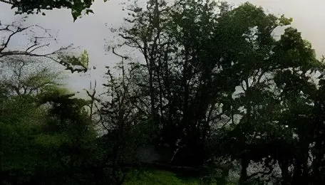 Mumbai Accelerates Three Dam Initiatives To Strengthen Water Security For Growing Population