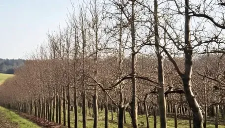 Environmental and Economic Disaster 