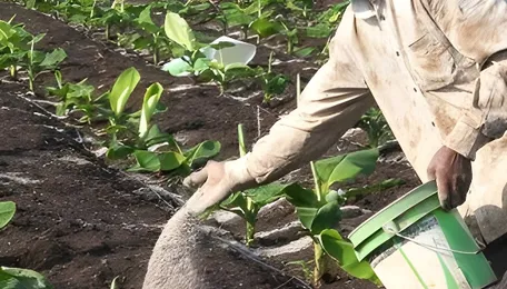 India's fertilizer production decreased by 25% due to Iran war: What are reasons for decline in production ... 