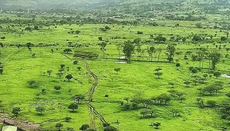 Pune Land Dispute Sees Partial Closure After Decades