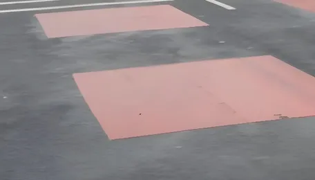 This Striped Road Design Helps India Slow Traffic And Protect Wildlife 