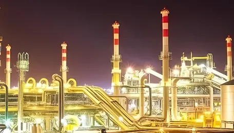 Prasol Chemicals eyes brownfield growth at Khapoli and Mahad 