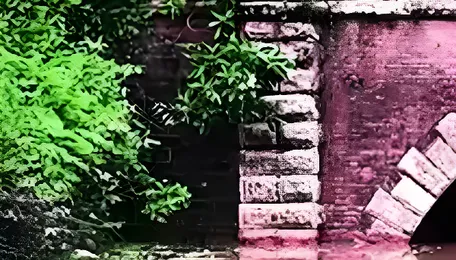 Kerala Chilakoor Tunnel reopens for water tourism