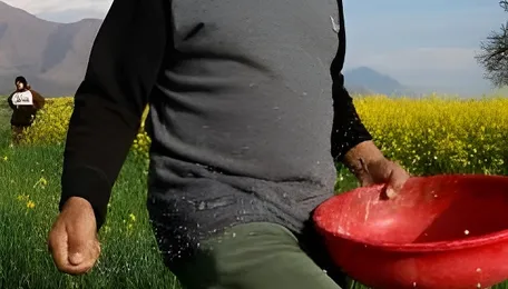 Iran war drives global fertilizer prices up, raising food cost fears 