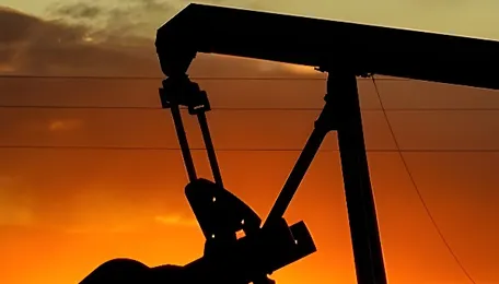 India's crude oil import bill jumps 56.5% to $63.4 bn in April-July as volumes stay flat 