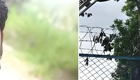 Technician electrocuted while working on power line in Bengaluru's Electronics City 