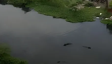Chennai Expands Urban Waterbody Revival Network