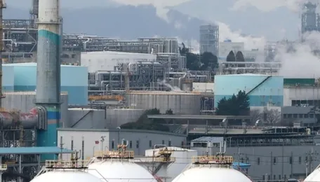 Petrochemical firms desperate for Russian naphtha imports 