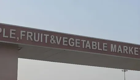 Pinjore fruit market revamp on cards, HSAMB moves to appoint consultant 