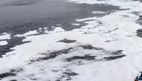 Delhi Plans Yamuna Floodplain Ecological Restoration