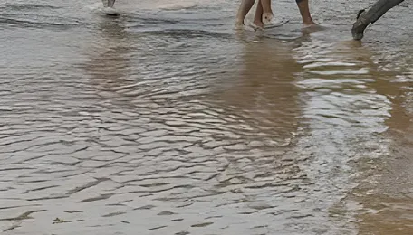 Bengaluru Weather Brings Fresh Mobility Challenges