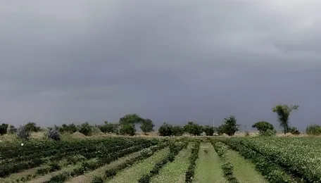 Pune Officials Send Comprehensive Purandar Airport Land Compensation Report To Maharashtra Government