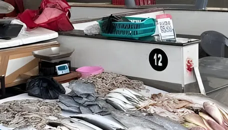 Chennai Fish Vendors Reconsider Loop Road Market Shift