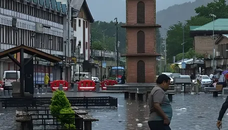 Srinagar Swamped, Smart City Under Scanner 