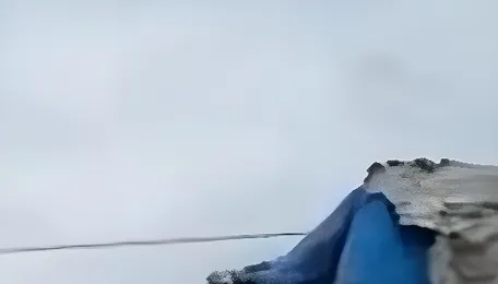 Vasai Virar Records Nine Percent Of Illegal Schools Across The Entire MMR