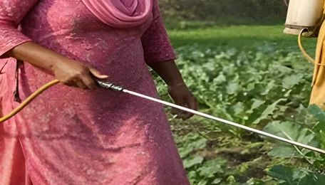 Chemical Pesticides - The silent killer! EU banned agrochemicals in use in JandK orchards and agricultural fields 
