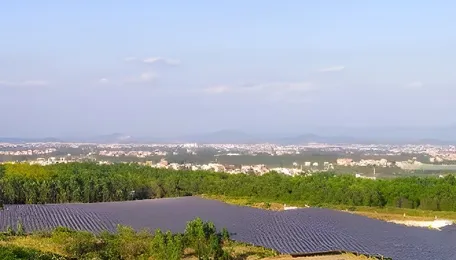 Solar Tender and Auction Activity Slumps in 2025