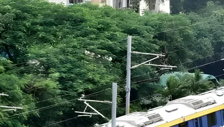 Ahmedabad Metro Strengthens Daily Link To Gandhinagar